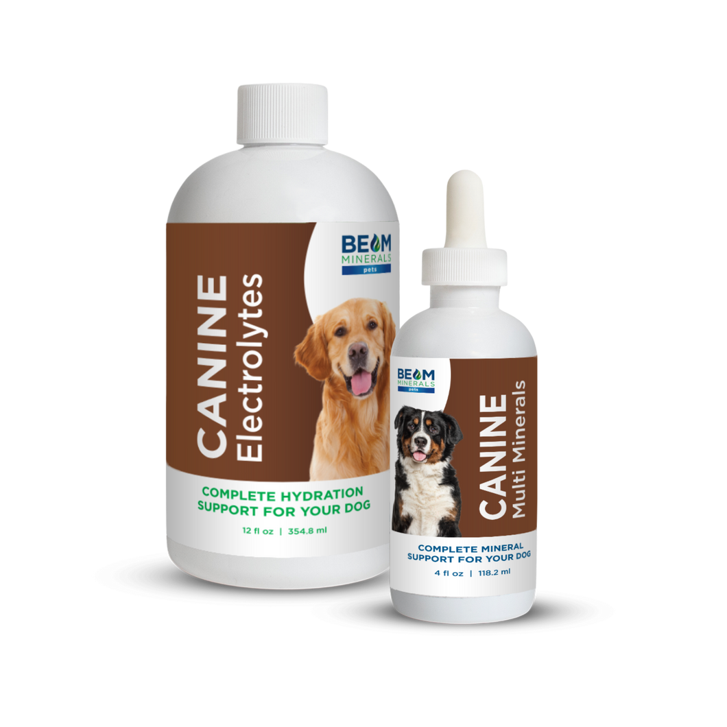 Advanced Canine Mineral and Electrolyte Replenishment Set