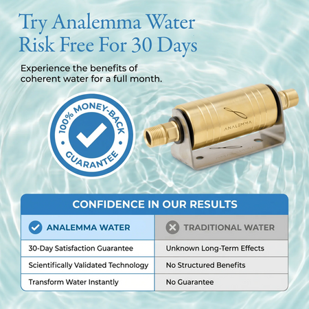 Analemma Point of Use Water Structurer - Undersink or Shower or Garden waterislife