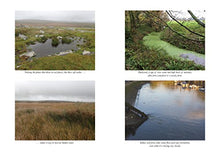 Load image into Gallery viewer, How to Read Water: Clues and Patterns from Puddles to the Sea (Natural Navigation)
