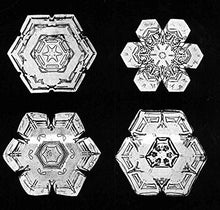 Load image into Gallery viewer, Snowflakes in Photographs (Dover Pictorial Archive)
