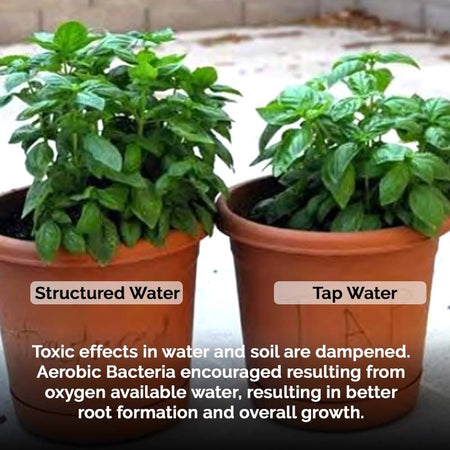 MR-24 Whole Home Structured Water with Filter Solution waterislife