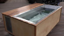 Load image into Gallery viewer, BlueCube Malibu 56 Ice Bath
