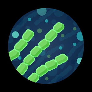 Cyanobacteria Enumeration Water Test